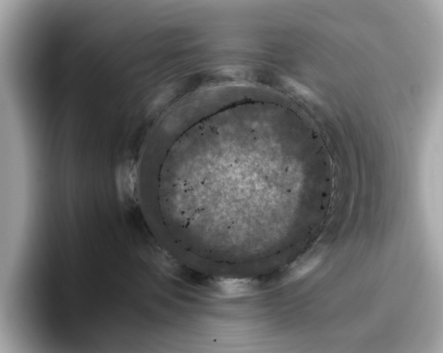 X0000096650336200802261326