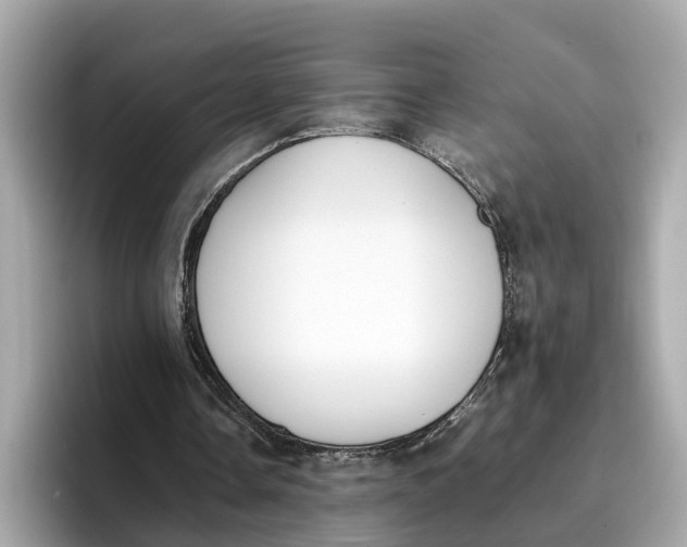 X0000096650338200802261325