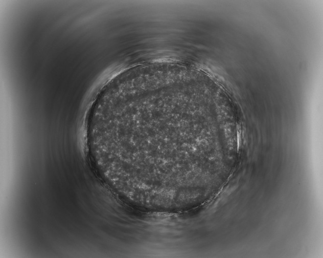 X0000096650339200802261325