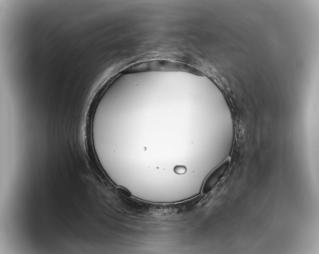 X0000096650340200802261325