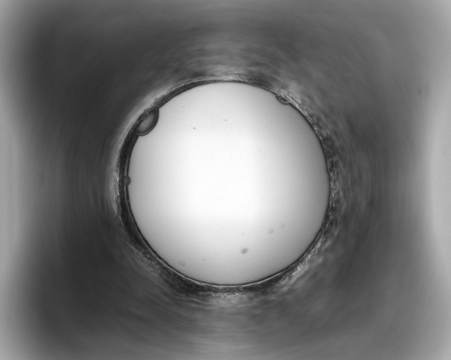 X0000096650342200802261325