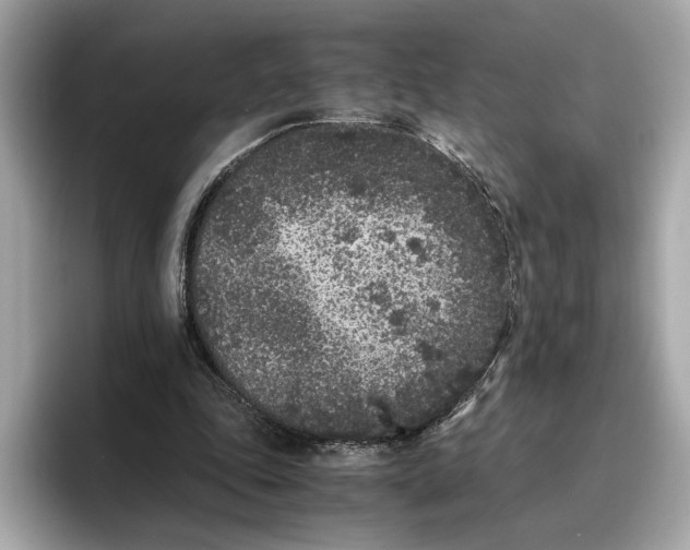 X0000096650343200802261325