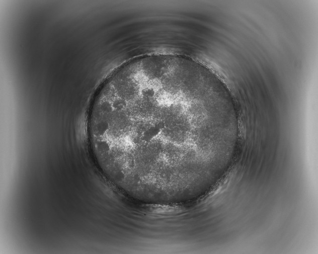 X0000096650347200802261325