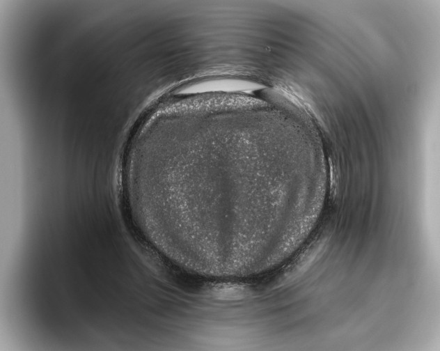 X0000096650348200802261325