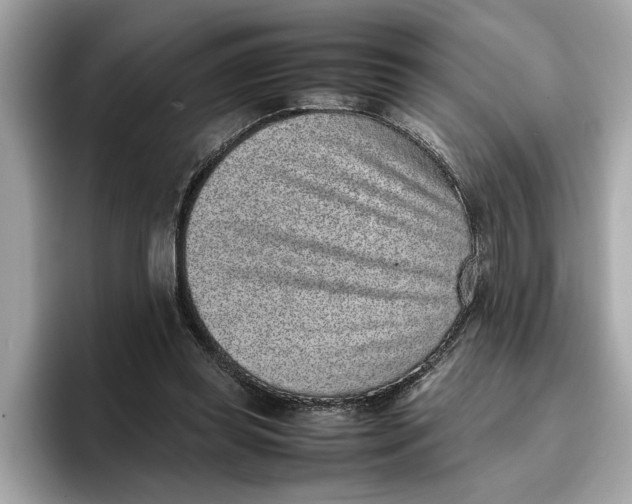 X0000096650349200802261325