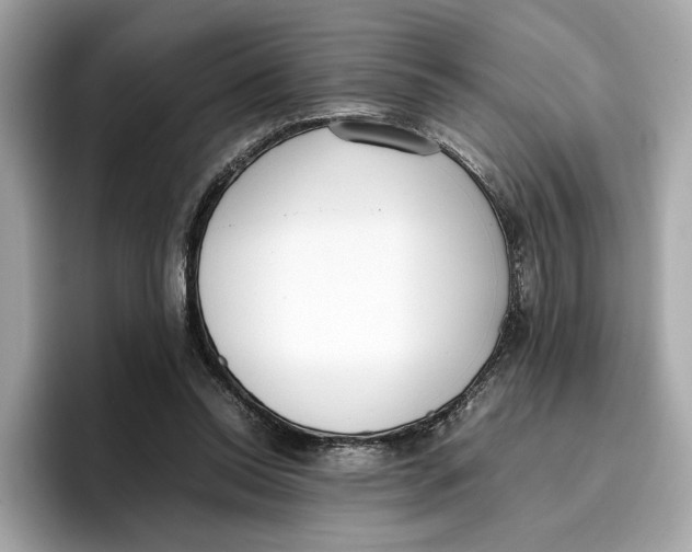 X0000096650350200802261325