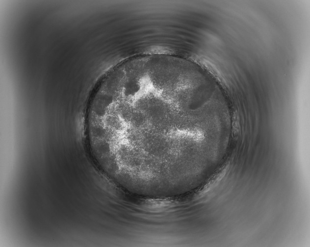 X0000096650351200802261325