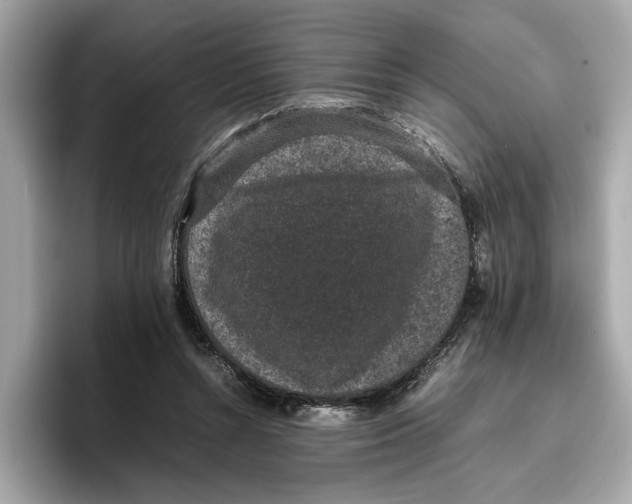 X0000096650352200802261325