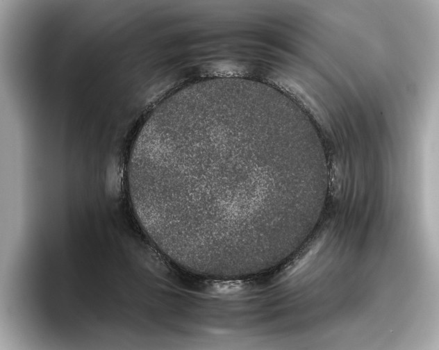 X0000096650355200802261325