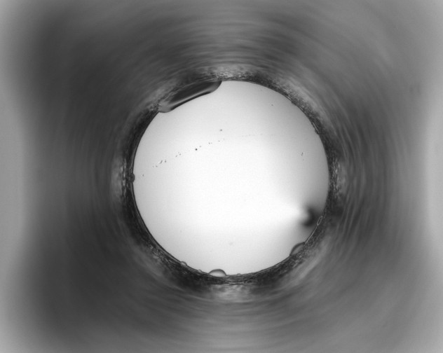 X0000096650356200802261325