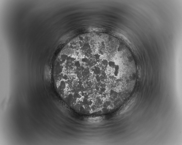 X0000096650357200802261325