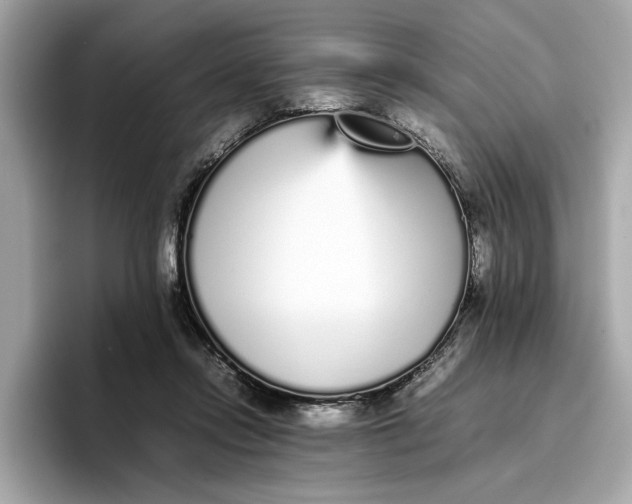 X0000096650358200802261326