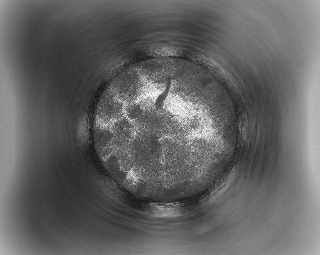 X0000096650359200802261326