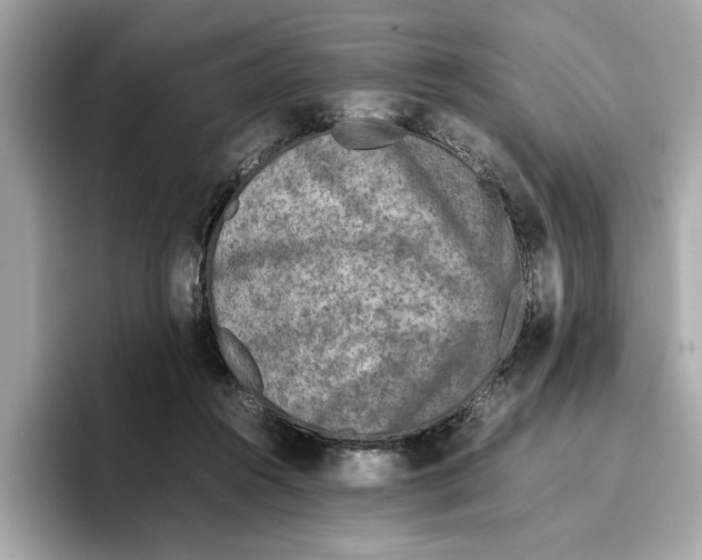 X0000096650360200802261326