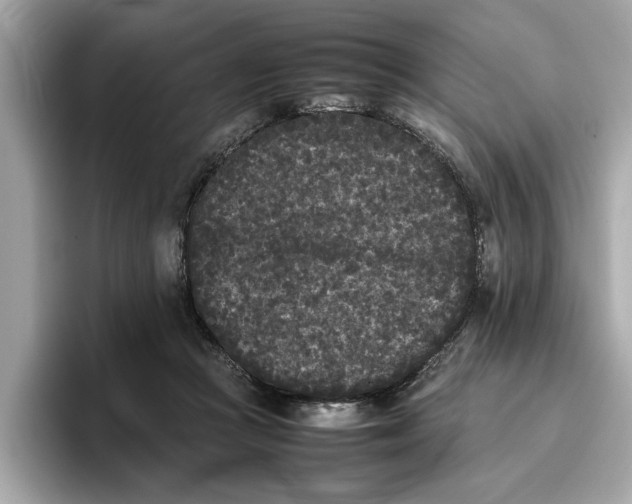 X0000096650361200802261326