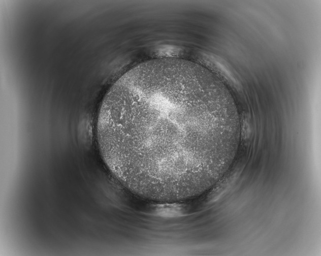 X0000096650363200802261326