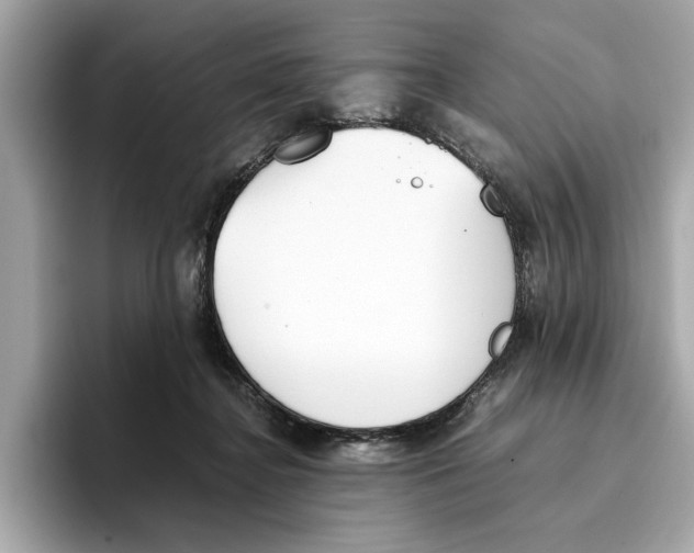 X0000096650364200802261326