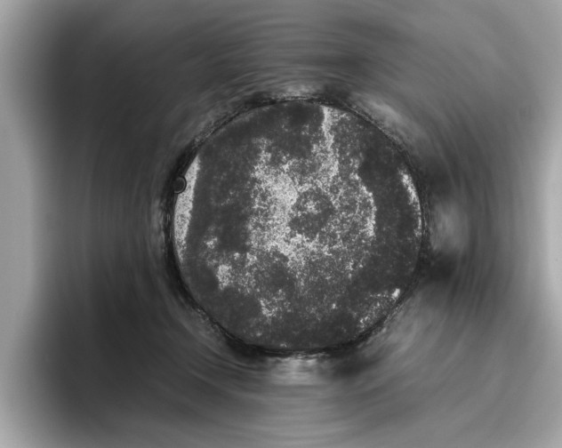 X0000096650366200802261326