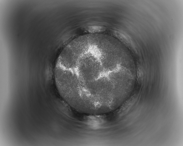 X0000096650367200802261326