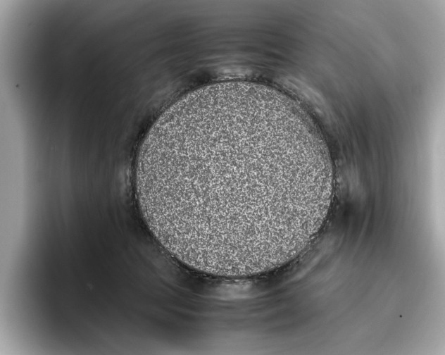 X0000096650369200802261326