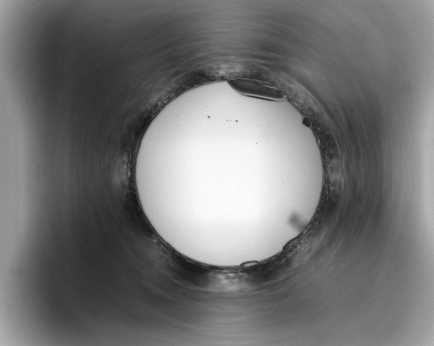 X0000096650372200802261326