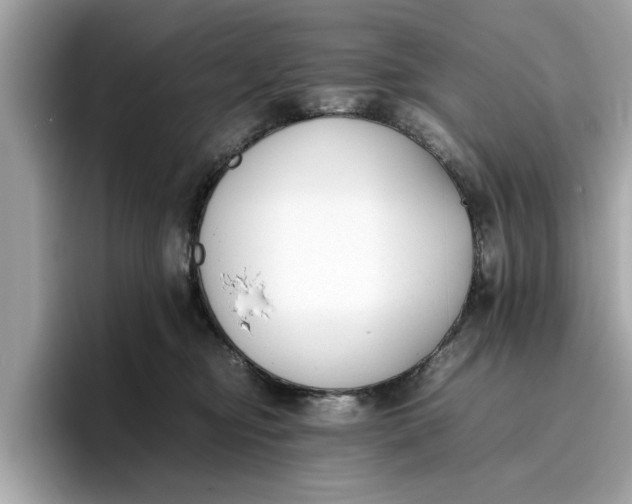 X0000096650374200802261326