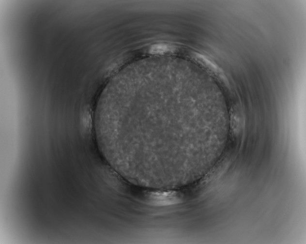 X0000096650375200802261326