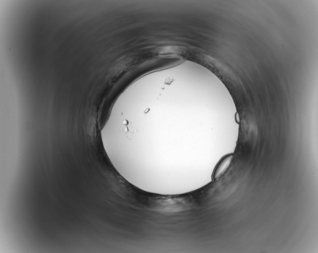 X0000096650379200802261326