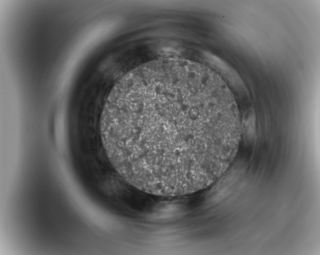 X0000096650381200802261326