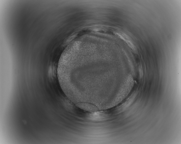 X0000096650382200802261326