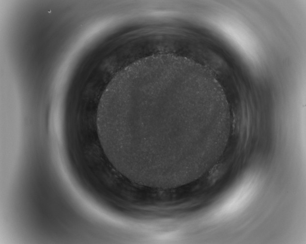 X0000096650383200802261326