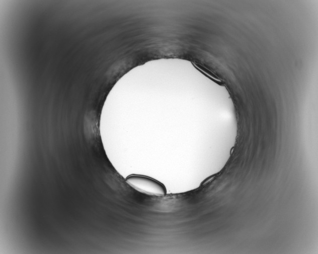 X0000096650384200802261326