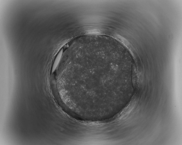 X0000096650385200802261325