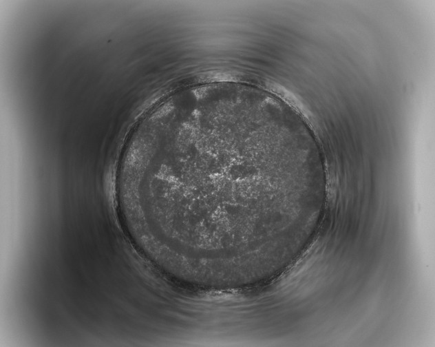 X0000096650386200802261325