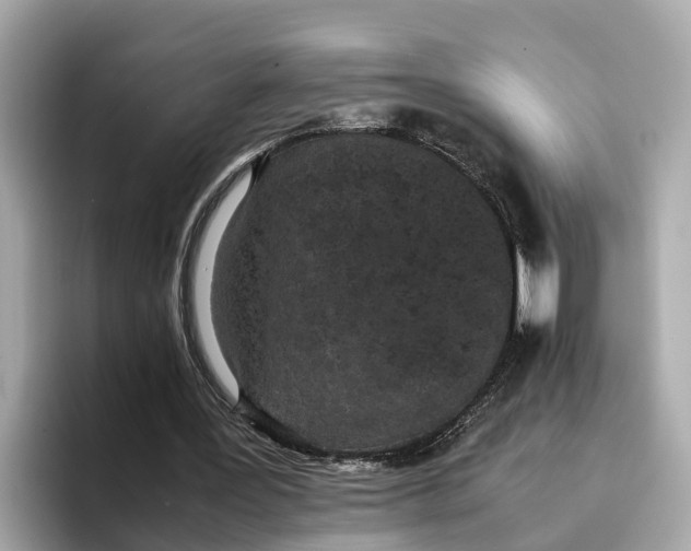 X0000096650387200802261325