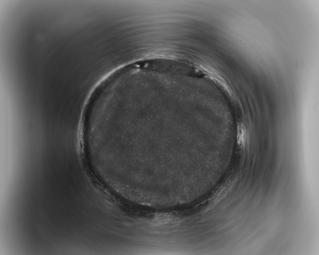 X0000096650388200802261325