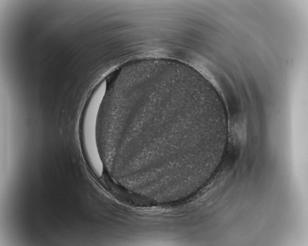 X0000096650389200802261325