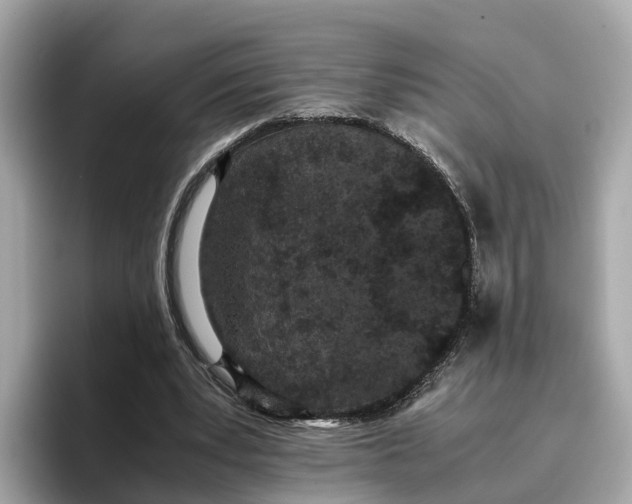 X0000096650391200802261325