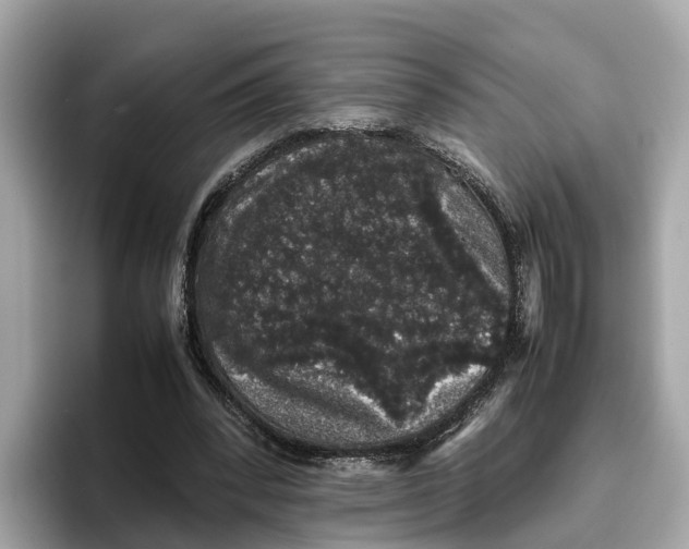 X0000096650392200802261325