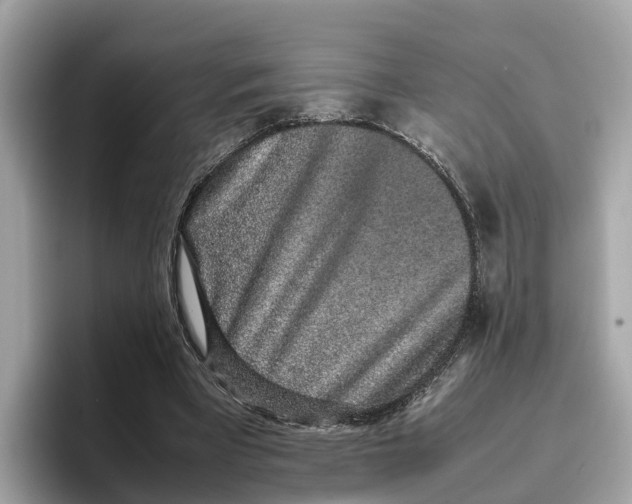 X0000096650393200802261325