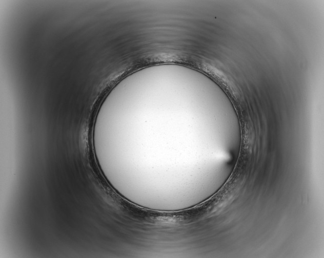 X0000096650394200802261325