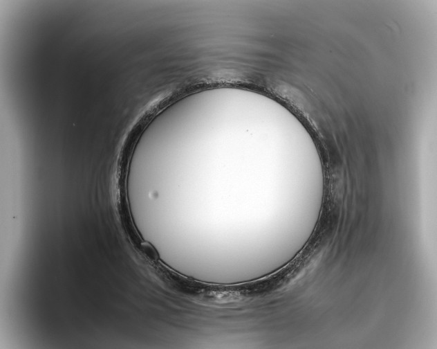 X0000096650395200802261325