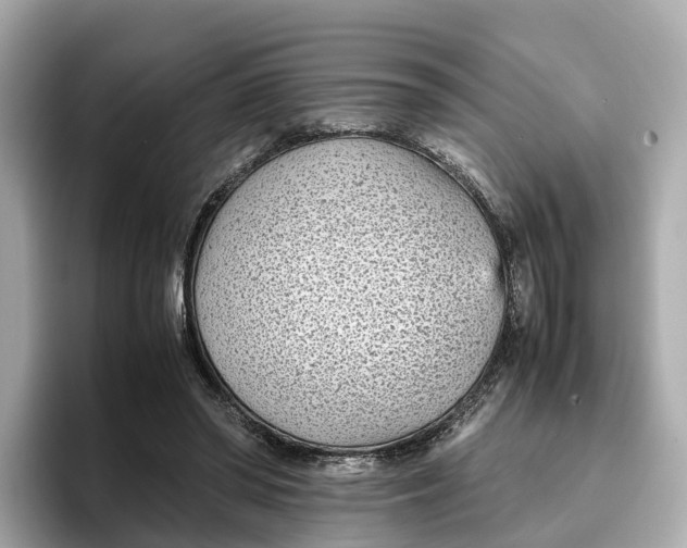 X0000096650398200802261325