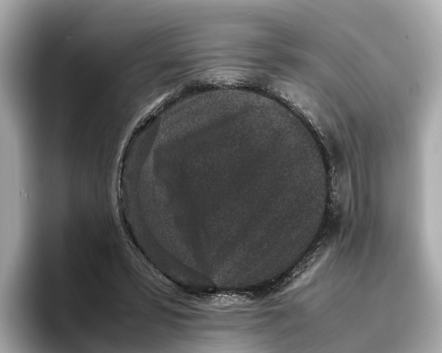 X0000096650399200802261325