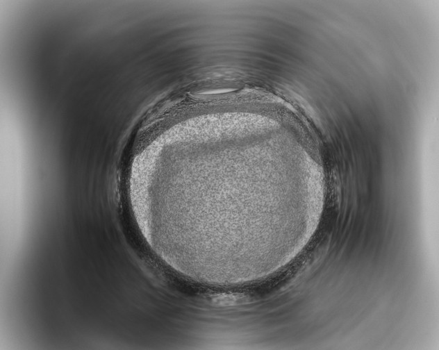 X0000096650400200802261325