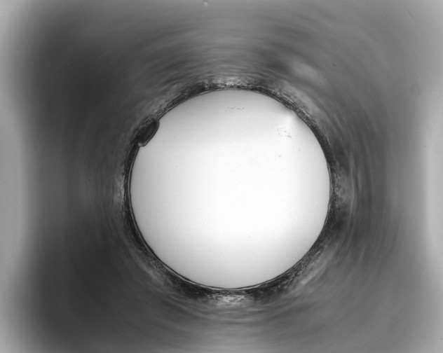 X0000096650401200802261325