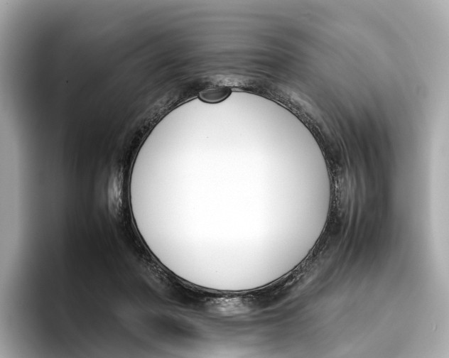 X0000096650406200802261325