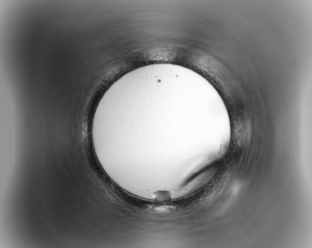 X0000096650407200802261325