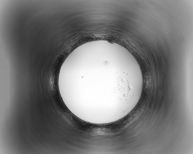 X0000096650408200802261325