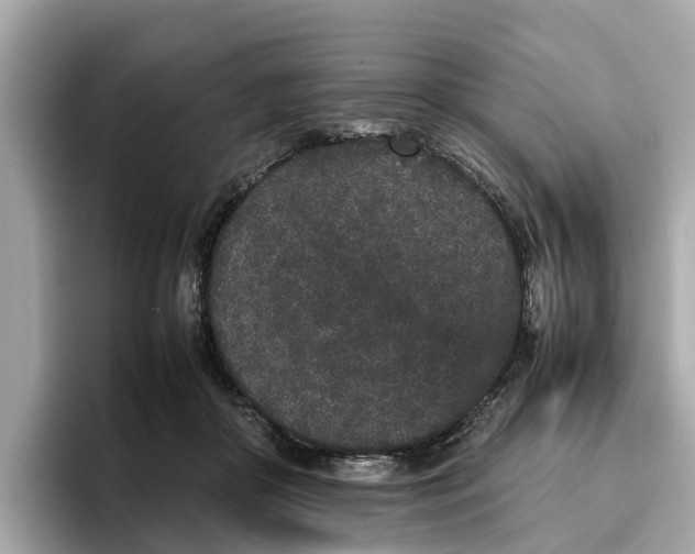 X0000096650410200802261325